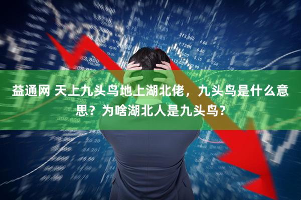 益通网 天上九头鸟地上湖北佬，九头鸟是什么意思？为啥湖北人是九头鸟？